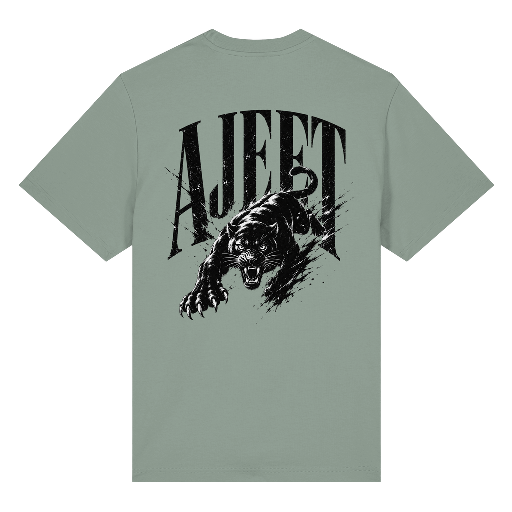 AJEET Streetwear Collection - Organic Heavy Shirt