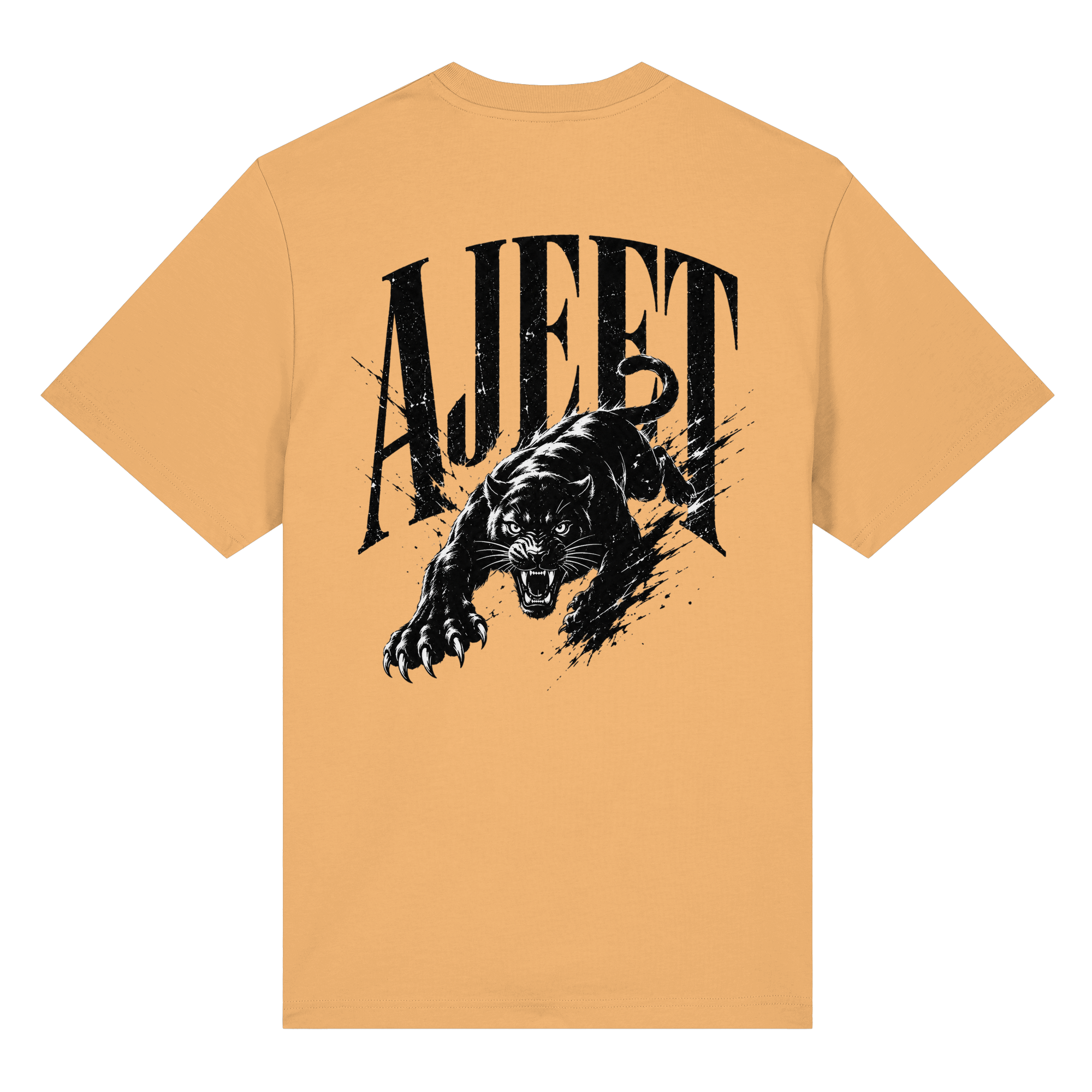 AJEET Streetwear Collection - Organic Heavy Shirt